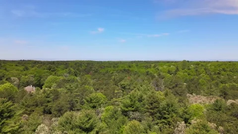 Flying over trees in East Hampton gives a fantastic view of different colors Video stock 131202095
