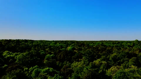 Flying over trees in East Hampton gives a fantastic view of different colors  Video stock 131458539