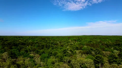 Flying over trees in East Hampton gives a fantastic view of different colors  Video stock 131458775