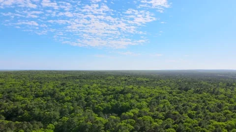 Flying over trees in East Hampton gives a fantastic view of different colors  Video stock 131458785