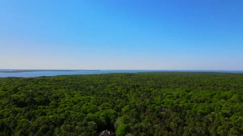 Flying over trees in East Hampton gives a fantastic view of different colors  Video stock 131458808