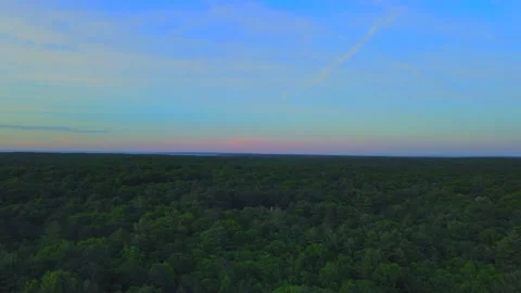 Flying over trees in East Hampton gives a fantastic view of different colors  Stock Footage 132279483