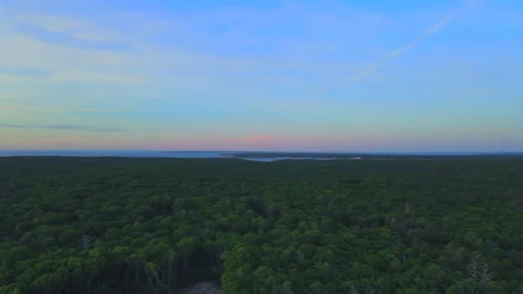 Flying over trees in East Hampton gives a fantastic Video stock 132372805
