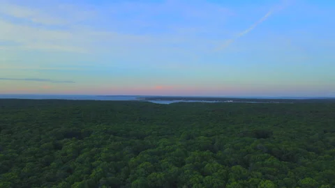 Flying over trees in East Hampton gives a fantastic 库存影片 132372835
