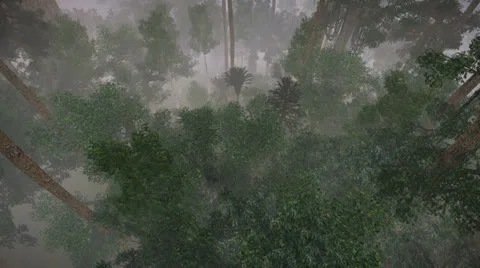 Flying over trees Stock Footage 24635995