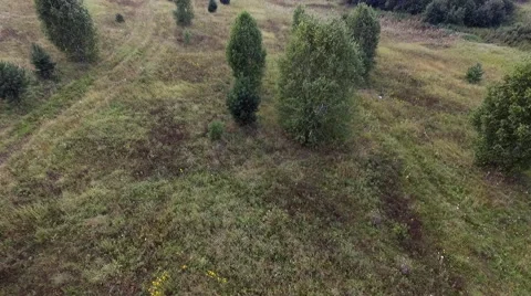 Flying over the trees 스톡 동영상 68165764