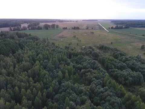 Flying over the trees in a forest at low altitude flight in a field Stock Footage 70346842