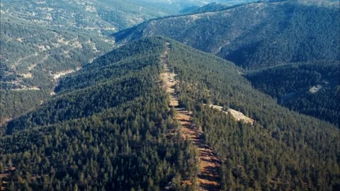 Flying Over Trees, A Forest In Mersin; Mediterranean City Of Turkey Stock Footage 149249382