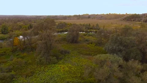 Flying over trees in a forest with a river Stock Footage 128658882
