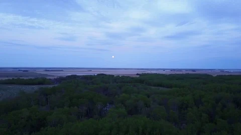 Flying over trees with full moon Stock Footage 77718522