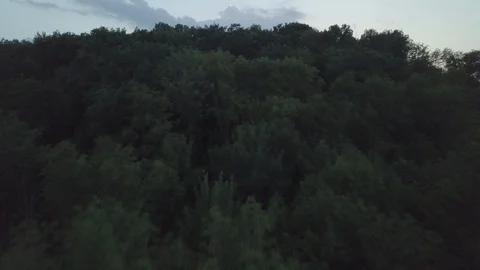 Flying Over Trees Up Hill At Dusk Stock-Footage 95208355