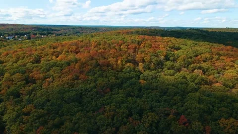 Flying Over Trees - Lake in the Fall (4k) Video stock 168331457