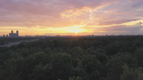 Flying over the trees of a large city Park towards the sunset Stock Footage 112414164
