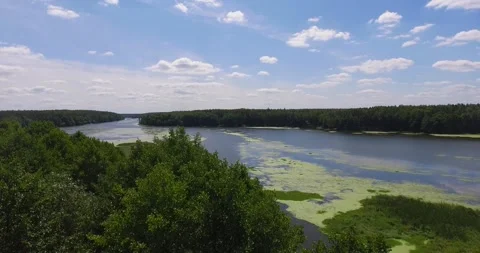 Flying over the trees overlooking the river Stock Footage 265859038