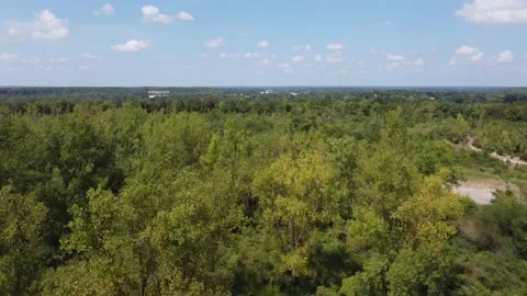 Flying over trees in park towards neighborhood. Stock Footage 159451925