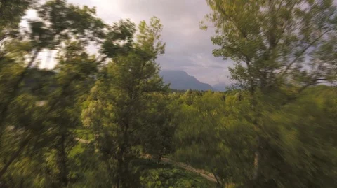 Flying Over Trees. Proximity FPV Freestyle Shot Stock Footage 92741551