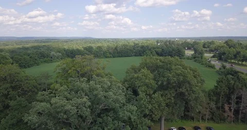 Flying over trees to reveal large plain of grass Video stock 93219026
