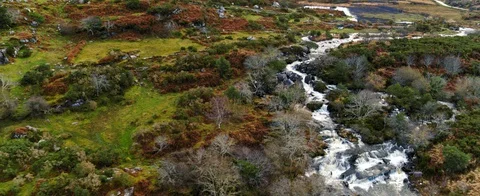 Flying over trees, rocks, creeks, grass in Ireland near Kerry Road. Beautiful ae Stock Footage 127930908