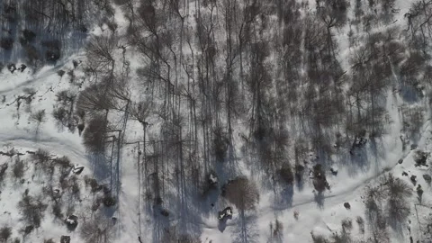 Flying up over trees in the snow Stock Footage 288711426