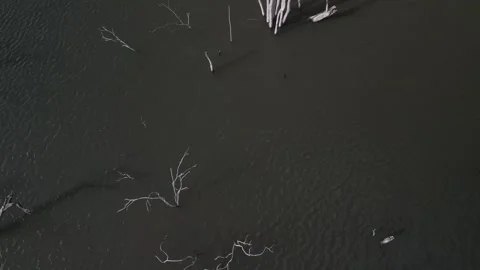 Flying over trees submerged by river dam. Canoas river. Stock Footage 253367889