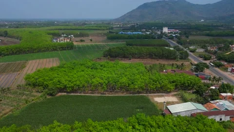 Flying over the trees taking off to the right In Tay Ninh City, VIetnam 4K Video Video stock 235816145