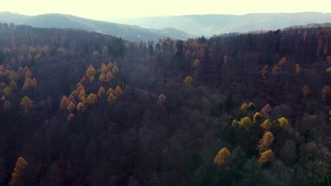 Flying over the trees on top of the hill 库存影片 224302796