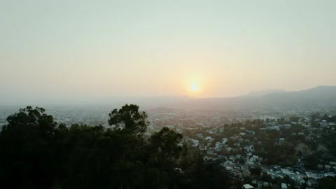 Flying over trees toward sunset in LA Stock Footage 168213831
