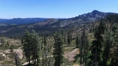 Flying over the trees towards a small lake Stock Footage 95876085