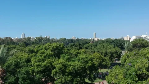 Flying over the trees towards Tel Aviv Stock Footage 81207720