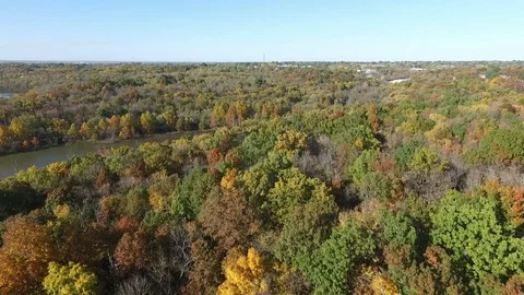 Flying over the trees, towards water in the Autumn Stock Footage 102300564