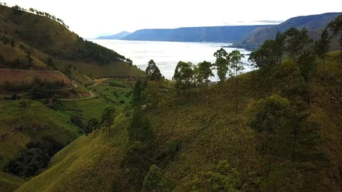 Flying over trees to view of Toba lake Video stock 89121802