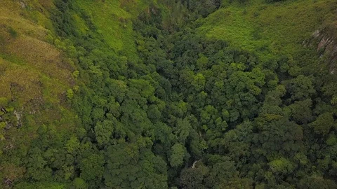 Flying over trees to view of Toba lake Stock Footage 89124558