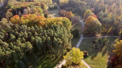 Flying over trees yellow and green leaves in park, dirt paths and people walking Stock Footage 232650611