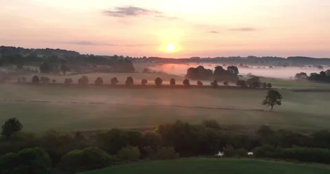 Flying over treetops and a river in misty valley at sunrise Stock Footage 219955792