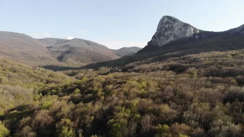Flying over the treetops. A dense forest and a huge rock. Majestic nature from a Video stock 157682474
