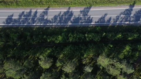 Flying over the treetops on drone Stockbeeldmateriaal 162957380
