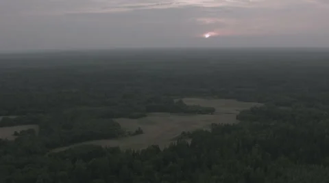 Flying over the treetops Video stock 62107793