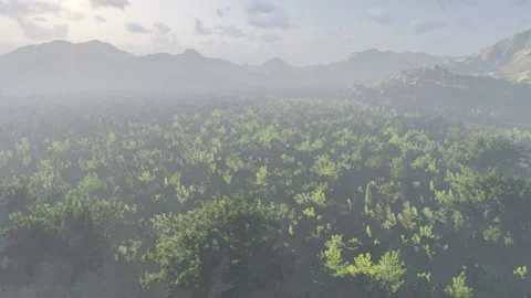 Flying over the treetops. 스톡 동영상 132411887