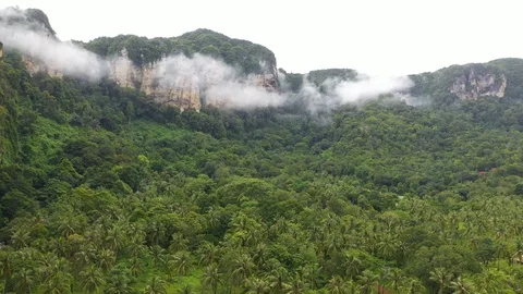 Flying over tropical mountain with mist in Krabi, Thailand. Stock Footage 124524800