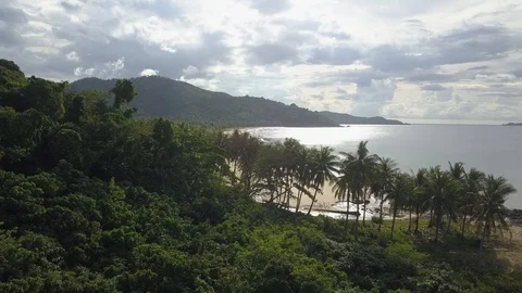 Flying over a tropical rainforest to a remote beach in the Philippines Stock Footage 91274826