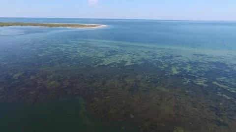 Flying over turquoise sea Video stock 67702353