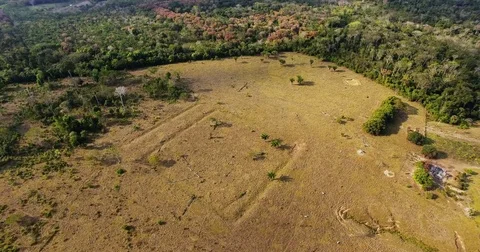 Flying over two square geoglyphs in the Amazon rainforest Stock Footage 76976451