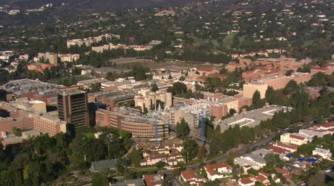 Flying over UCLA campus in Los Angeles. Shot in 2008. Vídeo Stock 59512993