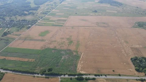 Flying Over Ukrainian Farm Fields Video stock 200815129