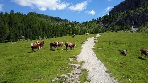 Flying over Val Gardena valley 動画素材 84665995