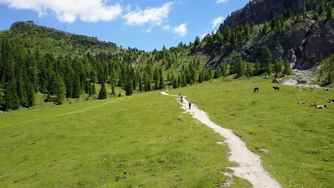 Flying over Val Gardena valley 動画素材 84666004