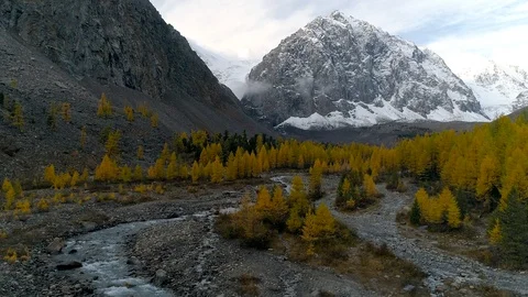 Flying over valley with autumn trees and river among high mountains Stock Footage 122807189