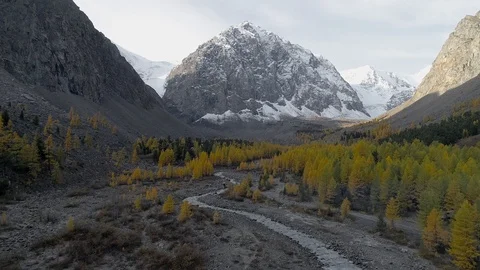 Flying over valley with autumn trees and river among high mountains Stock Footage 123408095