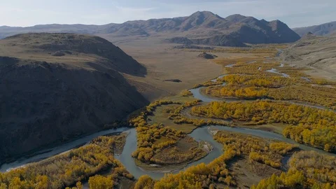 Flying over valley with autumn trees and river among high mountains Stock Footage 123409596
