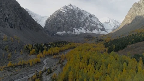Flying over valley with autumn trees and river among high mountains Stock Footage 123647388